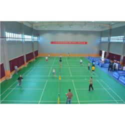 橙·鮮文化——?dú)g樂“羽”你同行